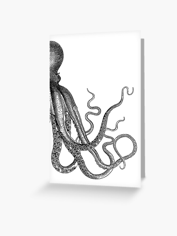 Octopus tentacle  Tentacle, Octopus, Beautiful sea creatures