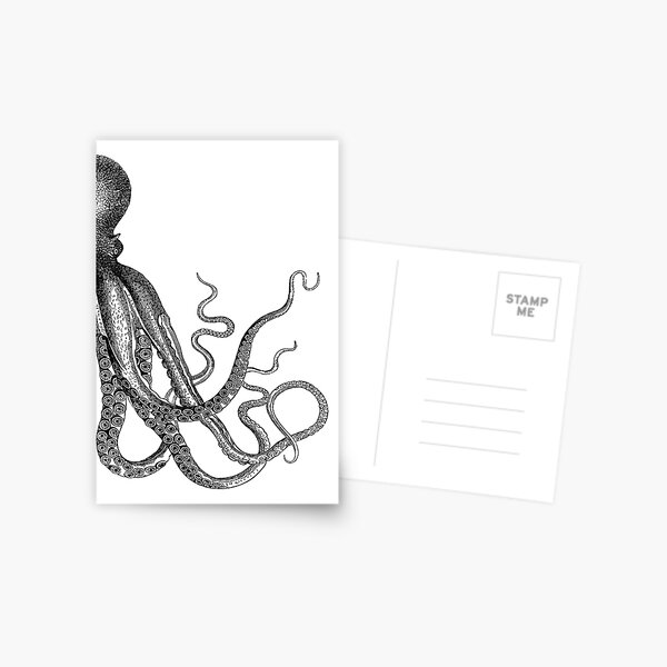 Half Octopus | Right Side | Vintage Octopus | Tentacles | Sea Creatures | Nautical | Ocean | Sea | Beach | Diptych | Black and White | Postcard