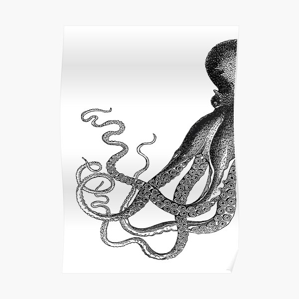 Half Octopus | Left Side | Vintage Octopus | Tentacles | Sea Creatures | Nautical | Ocean | Sea | Beach | Diptych | Black and White | Poster