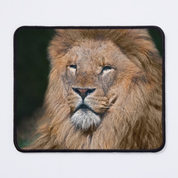 Item preview, King of the Pride designed and sold by Krys Bailey.
