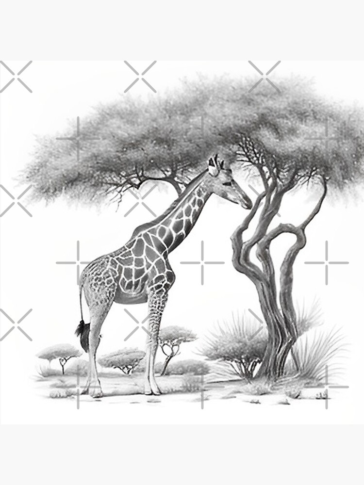 dessin au crayon de girafe facile