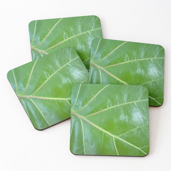 Item preview, Green Plant, Fiddle Leaf Fig designed and sold by LifeSpice.