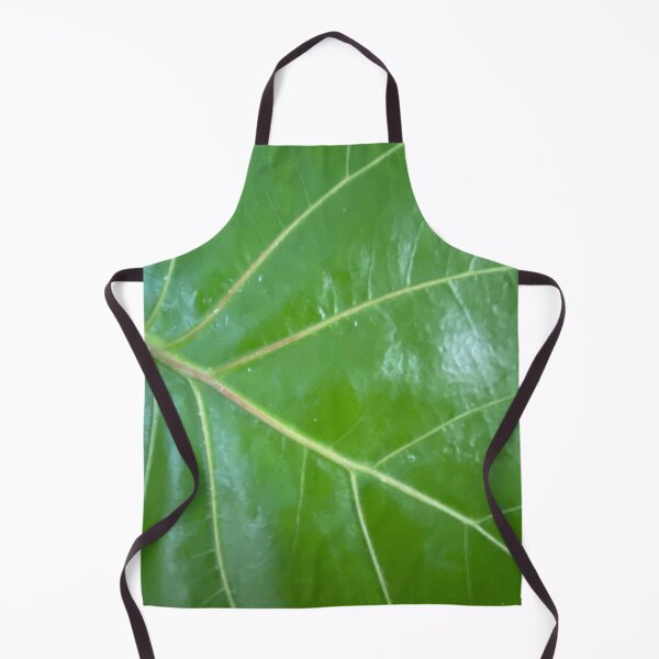 Item preview, Green Plant, Fiddle Leaf Fig designed and sold by LifeSpice.