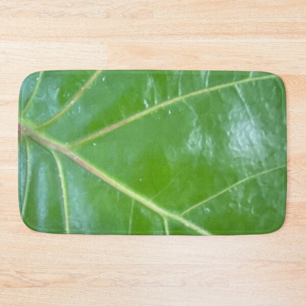 Item preview, Green Plant, Fiddle Leaf Fig designed and sold by LifeSpice.