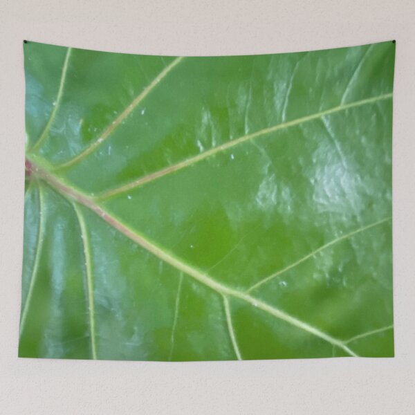 Item preview, Green Plant, Fiddle Leaf Fig designed and sold by LifeSpice.