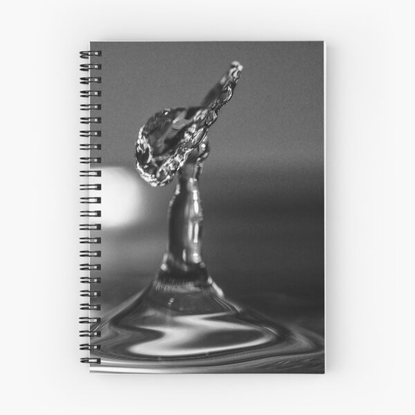 Item preview, Silver Spirit designed and sold by Steve Purnell Photography.
