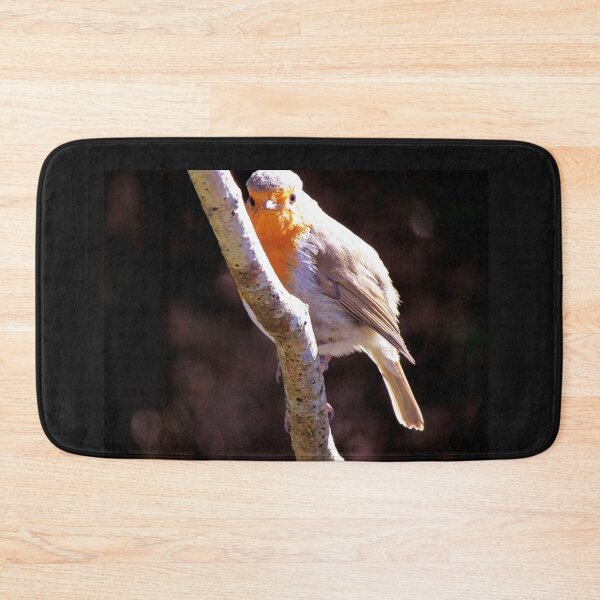 Item preview, Robin on tree photograph designed and sold by Natimo-Studio.