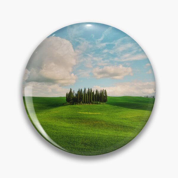 Item preview, The Cipressini. Cypress Groove in Val dOrcia. Tuscany Italy designed and sold by Stefano Orazzini.
