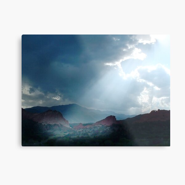 Favored Metal Print