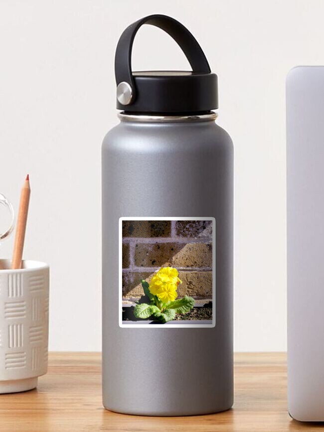 Primula Vacuum Wall Water Bottles