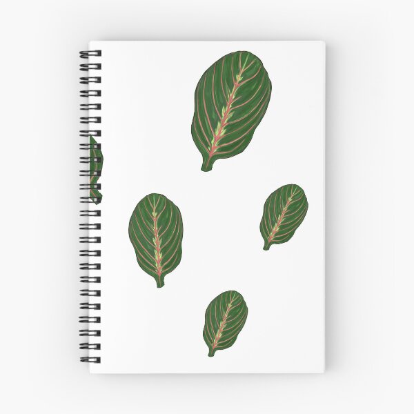 Item preview, maranta leaves designed and sold by Taidundua.