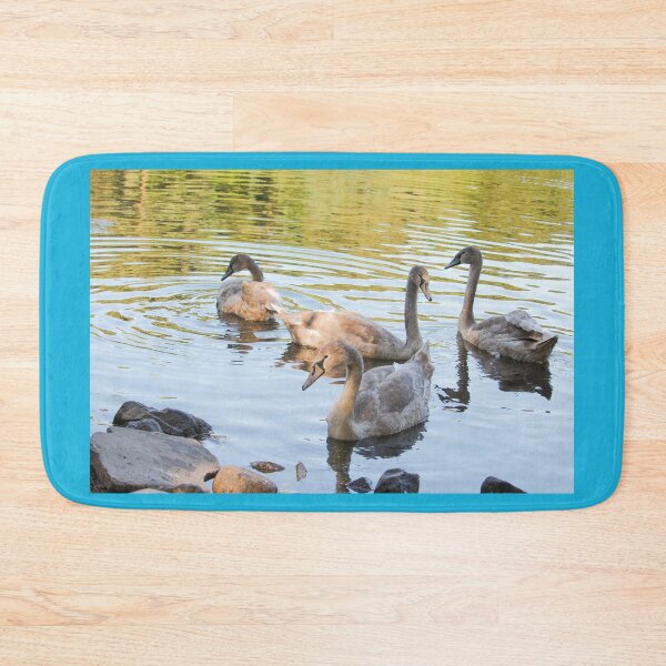 Item preview, Swans in the Pond Mount Stewart Northern Ireland National Trust designed and sold by eddiebarronshop.