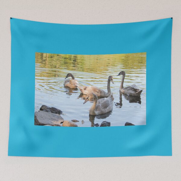 Item preview, Swans in the Pond Mount Stewart Northern Ireland National Trust designed and sold by eddiebarronshop.