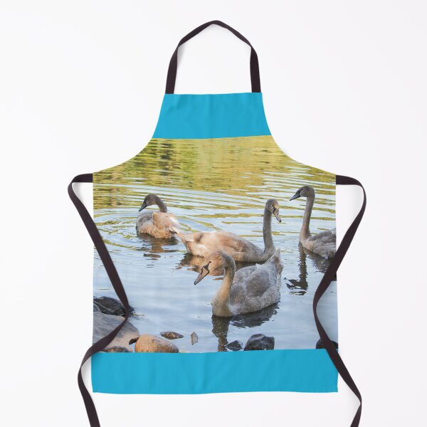 Item preview, Swans in the Pond Mount Stewart Northern Ireland National Trust designed and sold by eddiebarronshop.