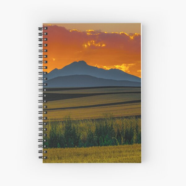 Lines Of Sunset Spiral Notebook