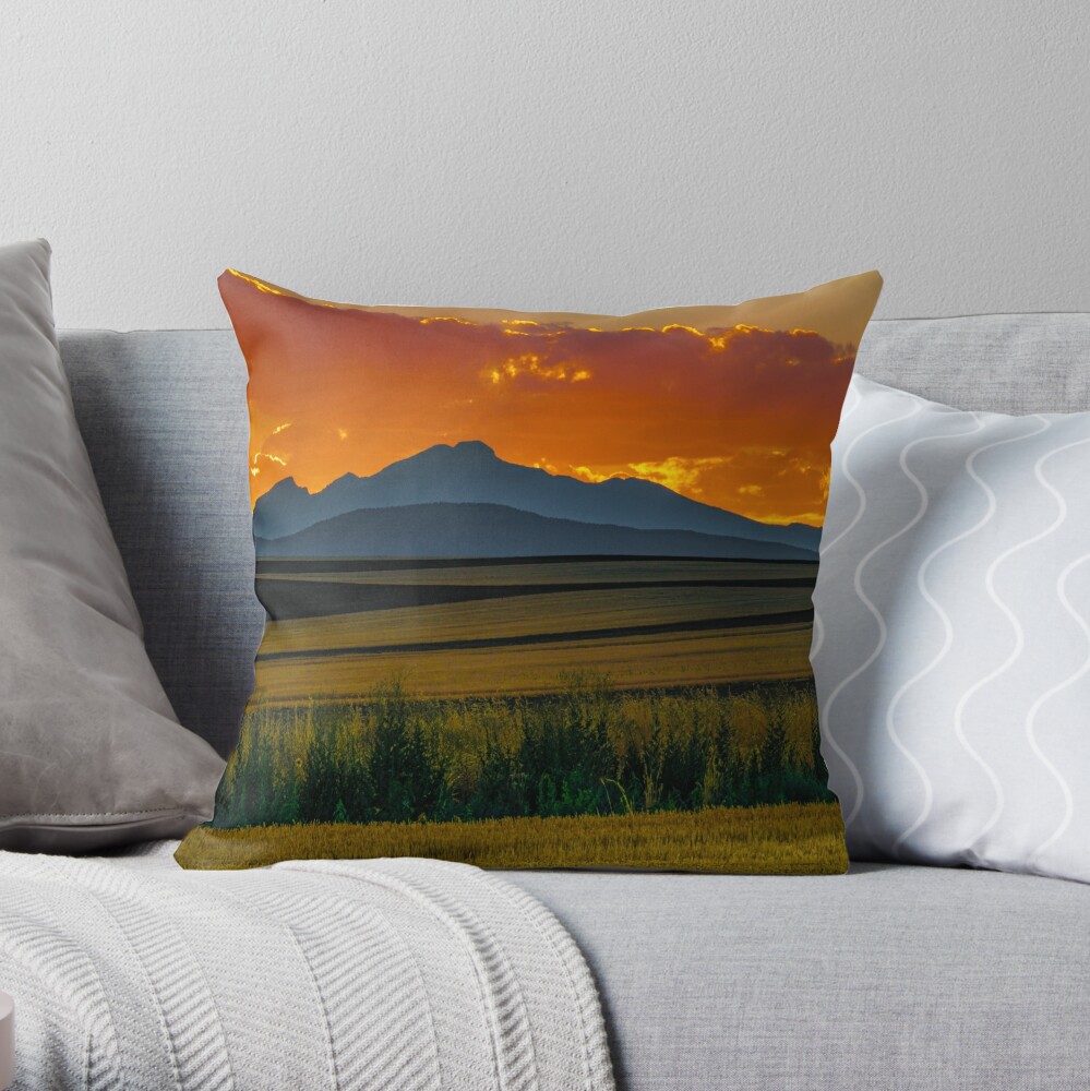 Item preview, Throw Pillow designed and sold by nikongreg.