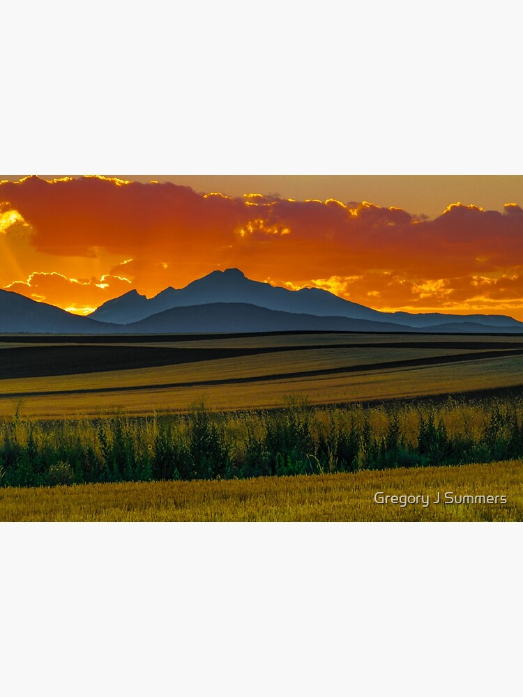 Thumbnail 3 of 3, Art Print, Lines Of Sunset designed and sold by Gregory J Summers.