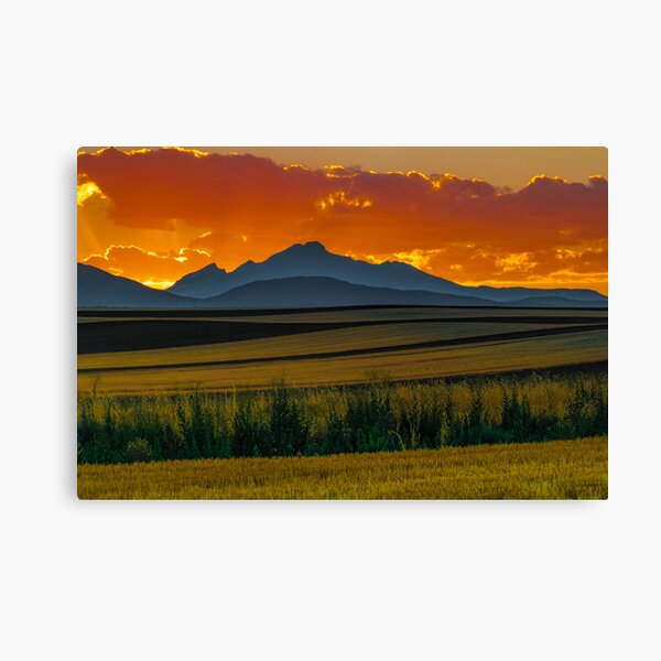 Item preview, Lines Of Sunset designed and sold by Gregory J Summers.