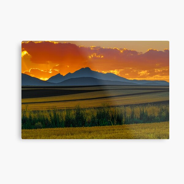 Lines Of Sunset Metal Print