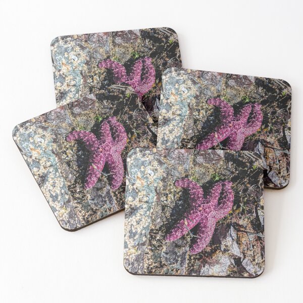 Item preview, Purple Rocky Starfish | Beachy Vacation Photos designed and sold by birdsofthePNW.