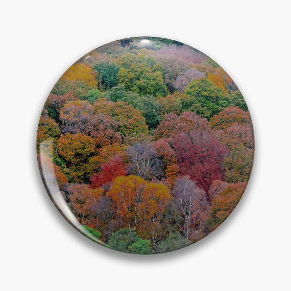 Item preview, Looking down on plantation of colourful trees designed and sold by Nick Pautrat.