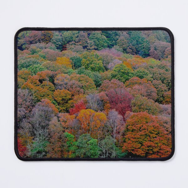 Item preview, Looking down on plantation of colourful trees designed and sold by Nick Pautrat.