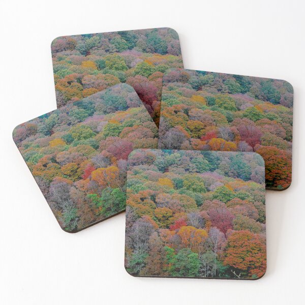 Item preview, Looking down on plantation of colourful trees designed and sold by Nick Pautrat.