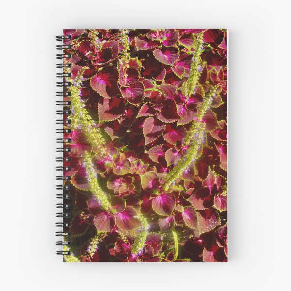 Item preview, Coleus designed and sold by Shulie1.