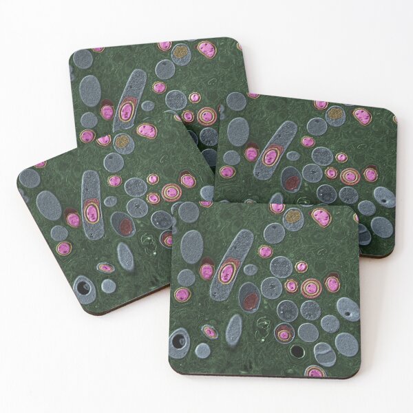 Item preview, Anthrax bacteria, Bacillus anthracis, TEM designed and sold by ScienceSource.
