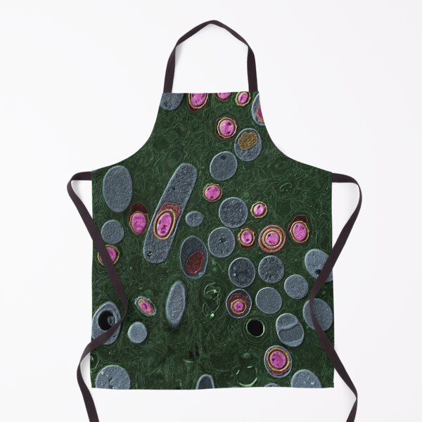 Item preview, Anthrax bacteria, Bacillus anthracis, TEM designed and sold by ScienceSource.