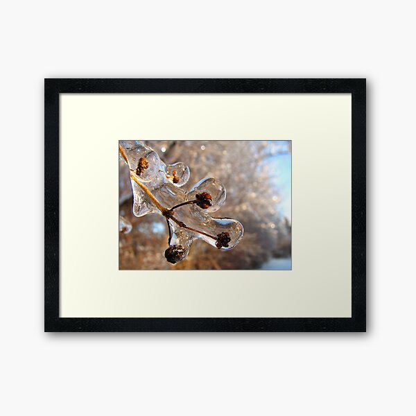 Frozen 2 Framed Art Print