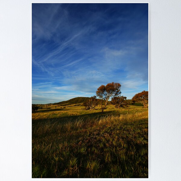 Item preview, Evening Glow designed and sold by Raquel O'Neill.
