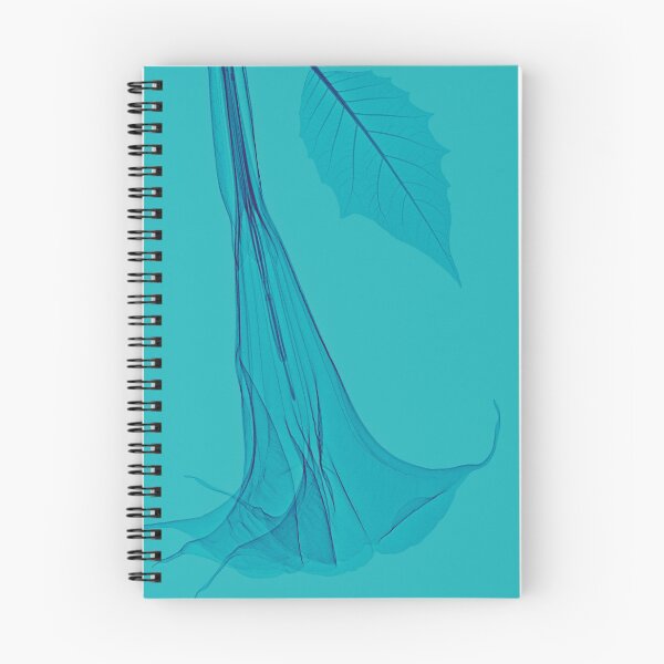 Item preview, Flower in turquoise and blue, angel's trumpet designed and sold by Lanuma.