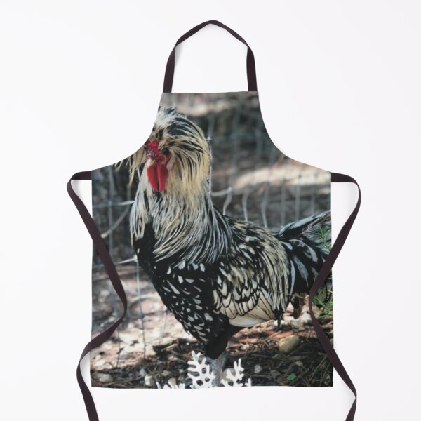 Item preview, Silver laced, Polish rooster, photography, April 2018, crested rooster, fancy rooster, Dusty Miller, Rosemary designed and sold by Whateverboss.