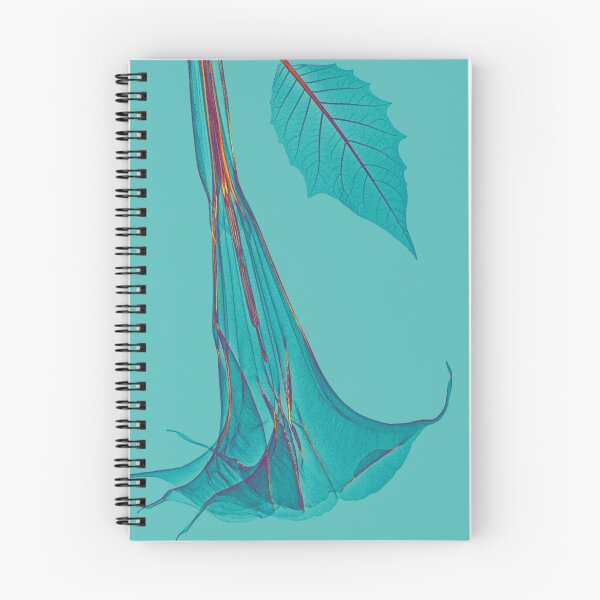 Item preview, Flowers in turquoise and orange, angel's trumpet designed and sold by Lanuma.
