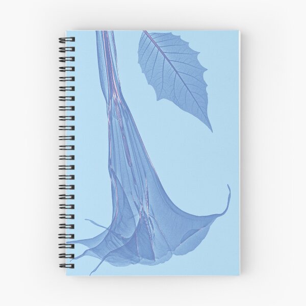 Item preview, Flower in light blue, angel's trumpet designed and sold by Lanuma.