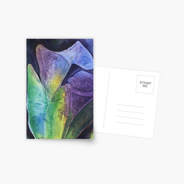 Ultra Calla Postcard
