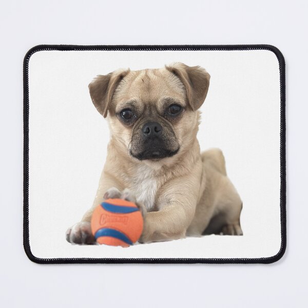 Item preview, Bort and Ball designed and sold by Andy Day.