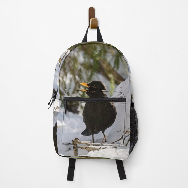 Item preview, Oblicuo. mirlo euroasiático designed and sold by Jouko Lehto Photography.