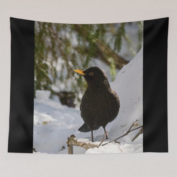 Item preview, Sideways. Eurasian blackbird designed and sold by Jouko Lehto Photography.
