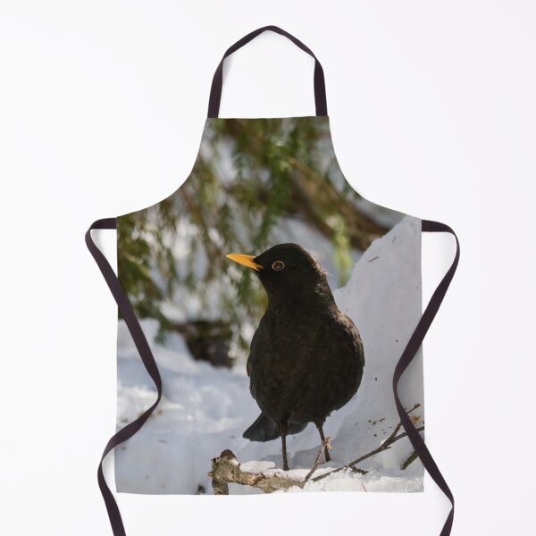 Item preview, Sideways. Eurasian blackbird designed and sold by Jouko Lehto Photography.