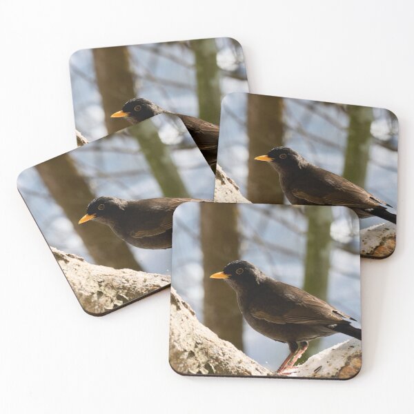 Item preview, In the middle of the U. Eurasian blackbird designed and sold by Jouko Lehto Photography.