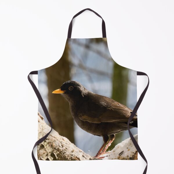 Item preview, In the middle of the U. Eurasian blackbird designed and sold by Jouko Lehto Photography.