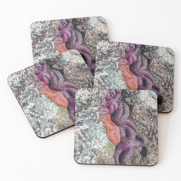 Item preview, Pile of Pink and Purple Rocky Starfish | Beachy Vacation Photos designed and sold by birdsofthePNW.