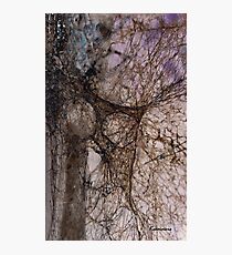 WEB Photographic Print