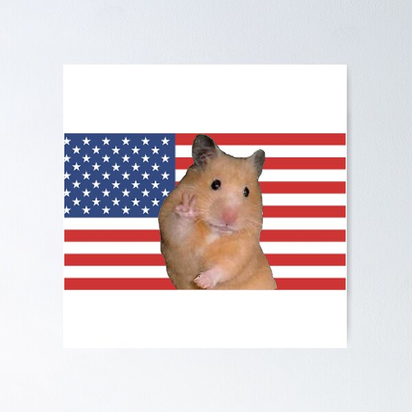 Biggie Cheese American Flag Premium Matte Vertical Poster sold by Redundant  Olas Flyingfish | SKU 41598673 | Printerval