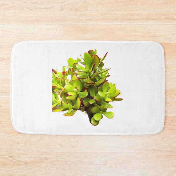 Item preview, Succulent Uno designed and sold by Beau Gordon.