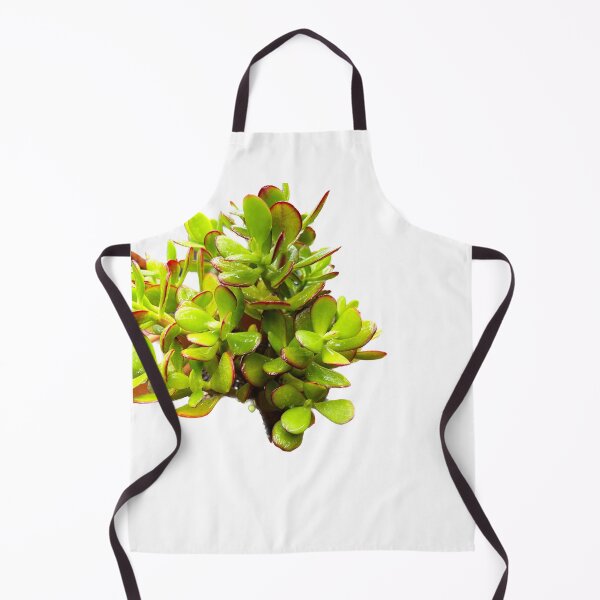 Item preview, Succulent Uno designed and sold by Beau Gordon.
