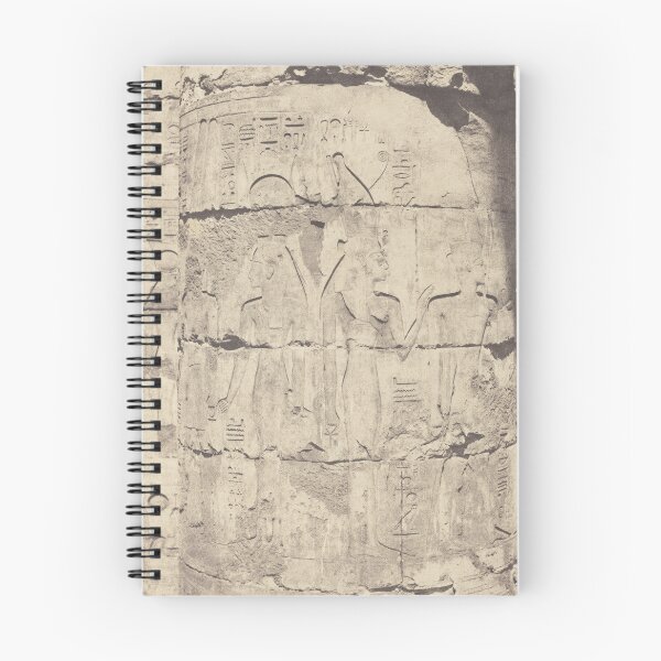 Item preview, Karnak (Thèbes), Palais--Salle hypostyle--Colonnade Centrale--Décoration d'un Fut, 1853 designed and sold by kathrynhw.