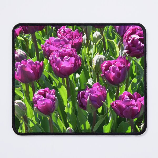 Item preview, Purple Tulips designed and sold by Maureen Zaharie.